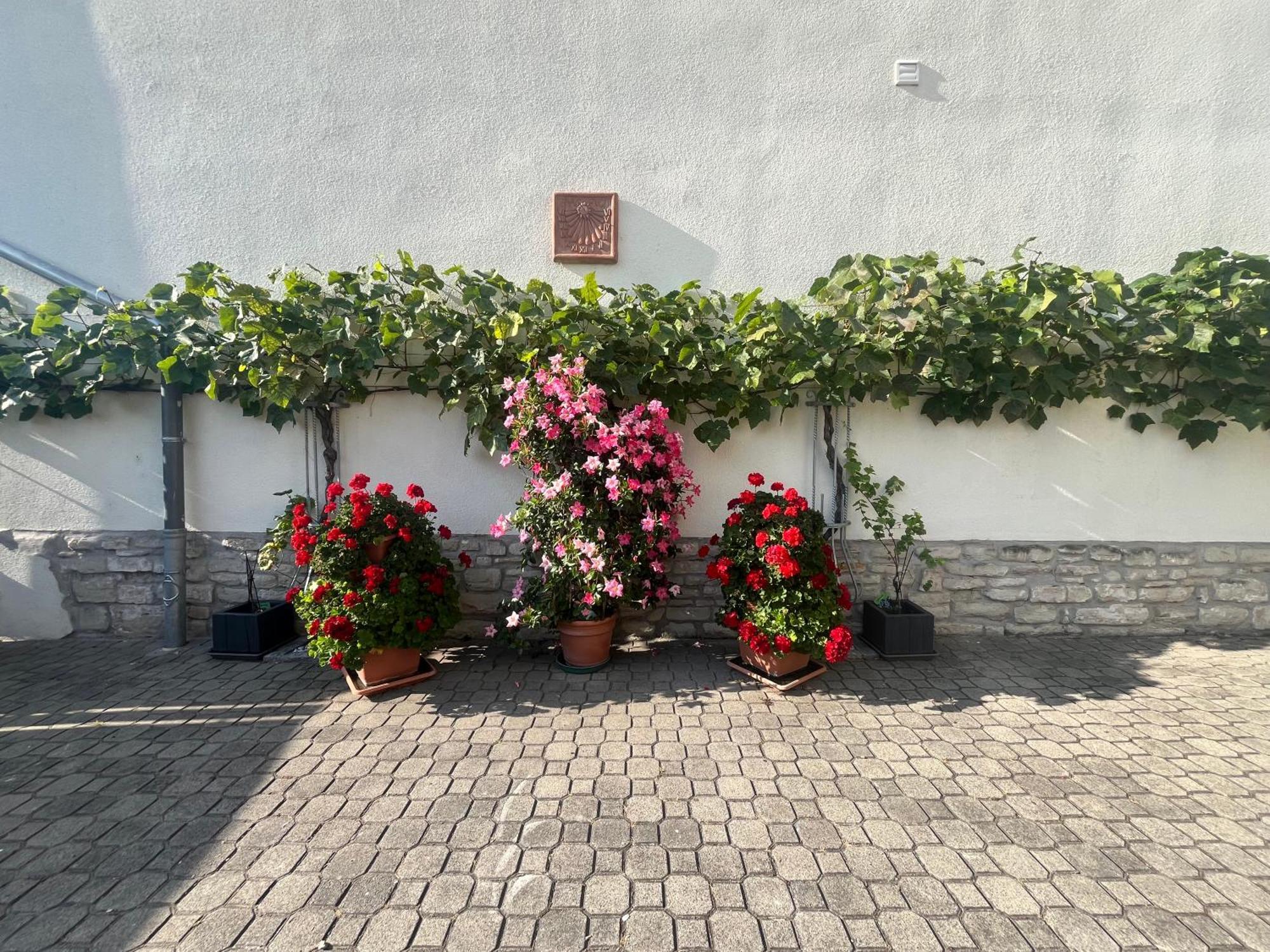 Zimmervermietung Barth Bernburg Exterior foto
